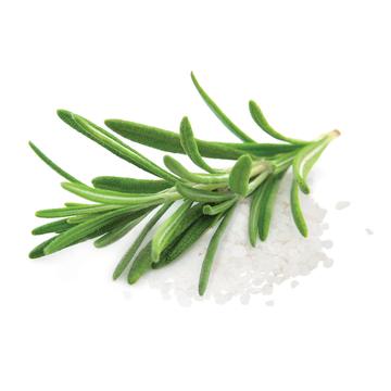 Caramel 5pc pillows Rosemary-Truffle