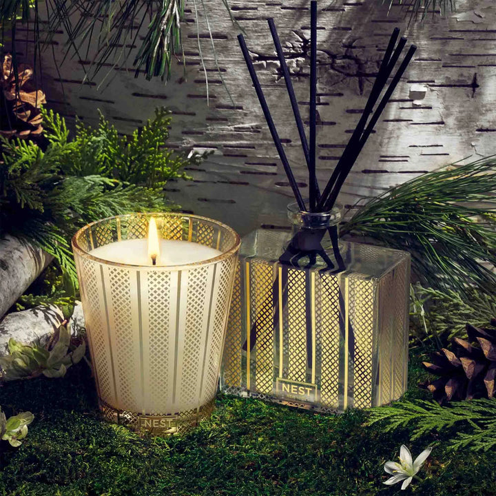 NEST BIRCHWOOD PINE - CLASSIC CANDLE AND DIFFUSER